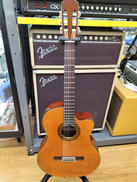 エレガット|ARIA