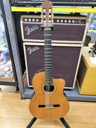 エレガット|S.NISHINO