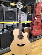 エレアコギター|YAMAHA