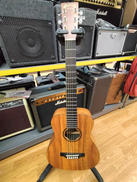 アコースティックギター|MARTIN