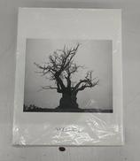 CD|トイズファクトリー