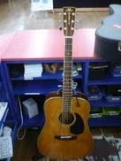 アコースティック|MORRIS