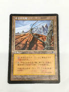 不毛の大地(日本語)|ウィザーズ