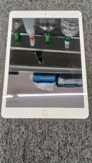 IPAD GEN7|APPLE