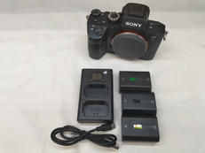 ミラーレス一眼|SONY