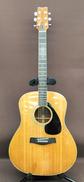 アコースティックギター|YAMAHA
