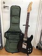 テレキャスタータイプ|SCHECTER