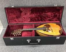 その他アコースティック楽器|SUZUKI