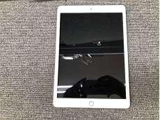 iPad|APPLE