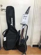その他ボディタイプ|IBANEZ