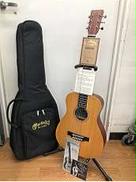 アコースティック|MARTIN