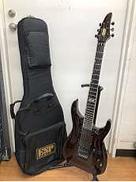 その他ボディタイプ|ESP