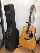 アコースティック|MORRIS