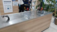 バッテリー式刈払機|KIORITZ