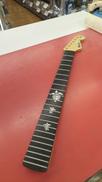 WARMOTH LIC BY FENDER 10-16 ワー|WARMOTH
