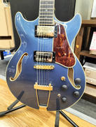 エレキギター|IBANEZ