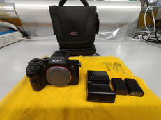 ミラーレス一眼|SONY