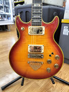 エレキギター|IBANEZ