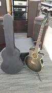 エレアコ|TAKAMINE