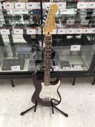 エレキギター|FENDER MEXICO