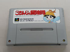 ごきんじょ冒険隊|PIONEER