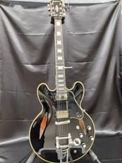 セミアコギター|EPIPHONE