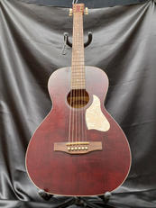 エレアコギター|ART&LUTHERIE