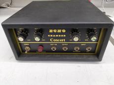 エコーチェンバー|カスタム電子