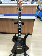 エレキギター|FERNANDES