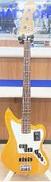 エレキベースその他|FENDER MEXICO