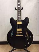 ホロウボディ|EPIPHONE