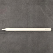 APPLE PENCIL PRO|APPLE