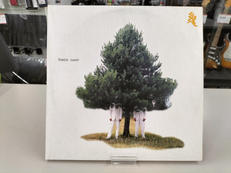LP盤 洋楽|G.STONE