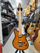 エレキギター|EVH