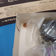 imgMap['COMMENT']}