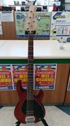 5弦ベース|STERLING