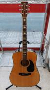 アコースティックギター|MORRIS