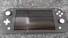 SWITCH LITE|NINTENDO