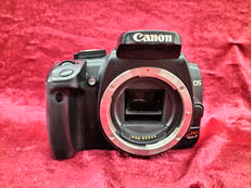 デジタル一眼ボディ|CANON