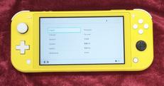 SWITCH LITE|NINTENDO