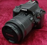 デジタル一眼レフ レンズキット|CANON