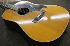 アコースティック|MORRIS