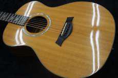 アコースティック|TAYLOR