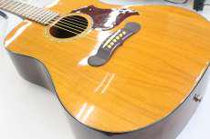 エレアコ|GIBSON USA