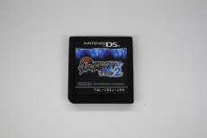 DSソフト|NINTENDO