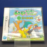 ポケモン不思議のダンジョン 空の探検隊|任天堂