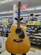 アコースティックギター|YAMAHA
