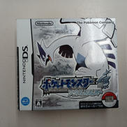 DSソフト|NINTENDO