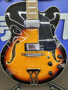 フルアコースティックギター|IBANEZ