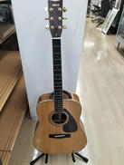 アコースティックギター|YAMAHA
